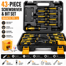 43-Piece Magnetic Screwdriver & Bit Set